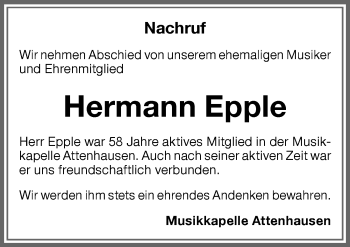 Traueranzeige von Hermann Epple von Memminger Zeitung
