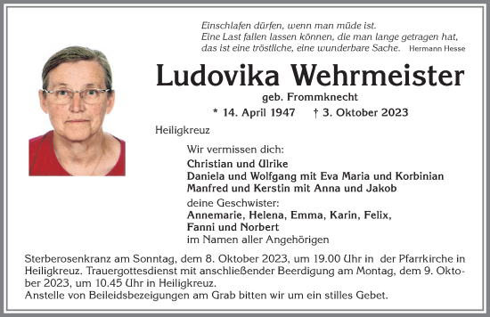 Traueranzeige von Ludovika Wehrmeister von Allgäuer Zeitung,Kempten