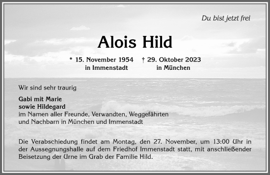 Traueranzeige von Alois Hild von Allgäuer Anzeigeblatt