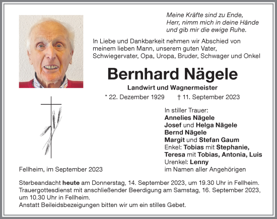 Traueranzeige von Bernhard Nägele von Memminger Zeitung