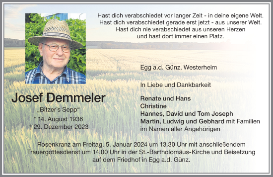 Traueranzeige von Josef Demmeler von Memminger Zeitung