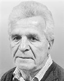 Profilbild Daniel Paulsteiner