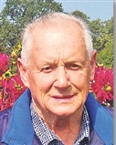 Profilbild Diethard Meishammer