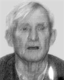 Profilbild Georg Müller