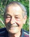 Profilbild Günther Liebl