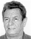 Profilbild Hans Hölzel