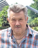 Profilbild Hermann Storch