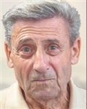 Profilbild Manfred Semtner