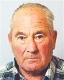 Profilbild Michael Pfalzer