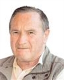 Profilbild Anton Singer