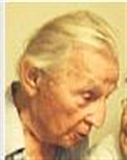 Profilbild Johann Losher