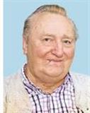 Profilbild Wenzel Womela