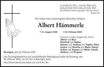 Traueranzeige von Albert Hämmerle von Donau Zeitung