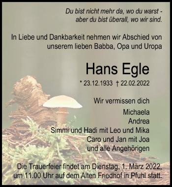 Traueranzeige von Hans Egle von Neu-Ulmer Zeitung