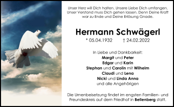 Traueranzeige von Hermann Schwägerl von Illertisser Zeitung