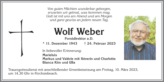 Traueranzeige von Wolf Weber von Schwabmünchner Allgemeine, Mindelheimer Zeitung