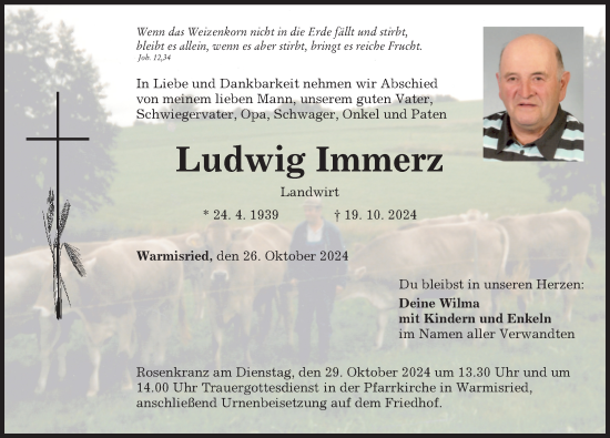 Traueranzeige von Ludwig Immerz von Mindelheimer Zeitung