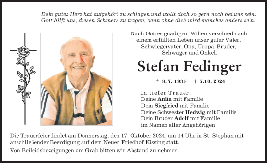 Traueranzeige von Stefan Fedinger von Friedberger Allgemeine