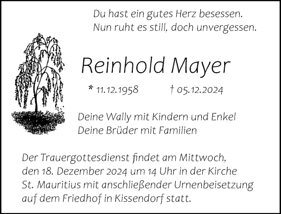 Traueranzeige von Reinhold Mayer von Günzburger Zeitung