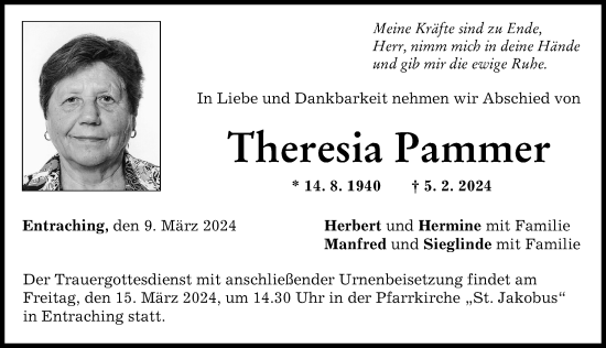 Traueranzeige von Theresia Pammer von Landsberger Tagblatt