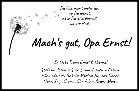 Traueranzeige von Ernst  von Neu-Ulmer Zeitung