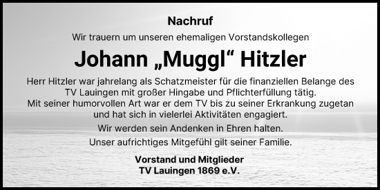Traueranzeige von Johann Hitzler von Donau Zeitung