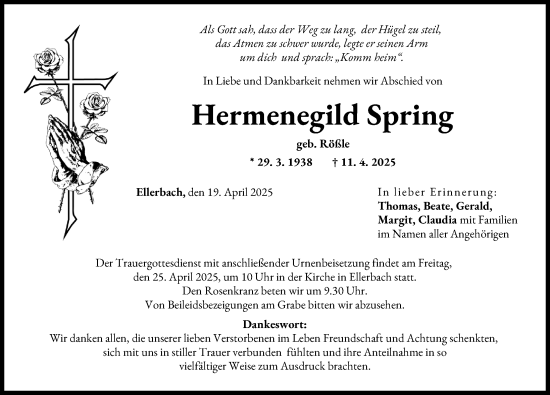 Traueranzeige von Hermenegild Spring von Donau Zeitung