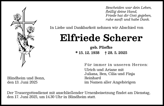 Traueranzeige von Elfriede Scherer von Donau Zeitung