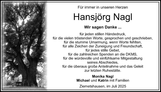 Traueranzeige von Hansjörg Nagl von Mittelschwäbische Nachrichten